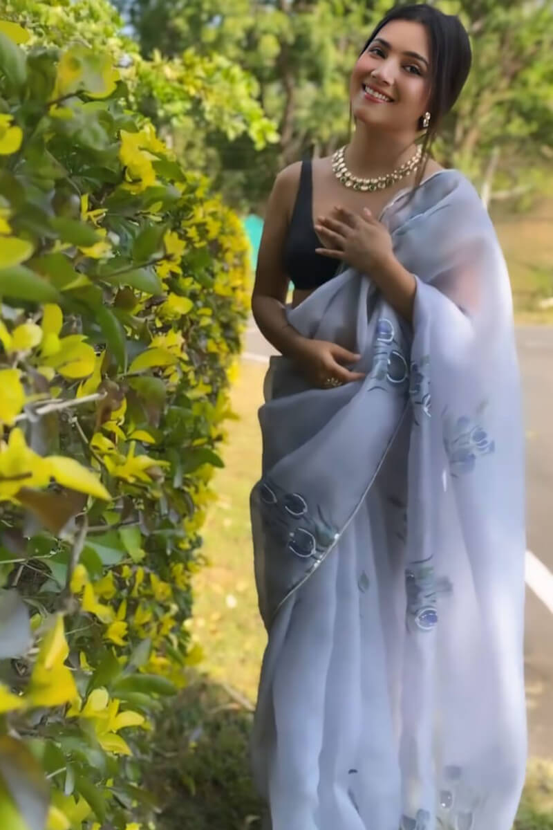 Elegant Grey Organza Silk Saree with Digital Print & Handwork Motifs