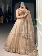 Golden Crush Organza Lehenga Choli – Festive & Party Wear