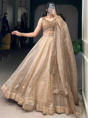 Golden Crush Organza Lehenga Choli – Festive & Party Wear