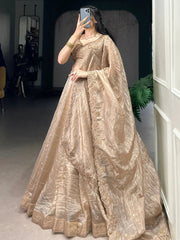 Golden Crush Organza Lehenga Choli – Festive & Party Wear